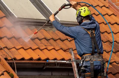 Démoussage et hydrofuge de toiture à Bustanico